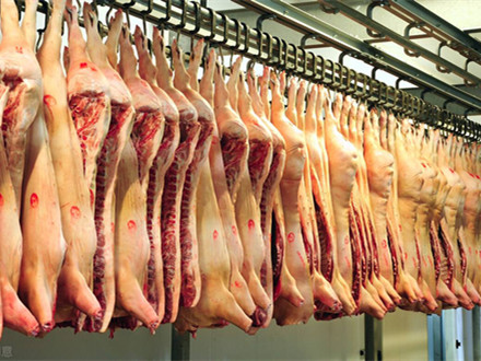 豬屠宰車間排水設計要求