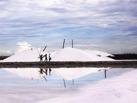 DB46/T 544-2021 地理標志產品 海南島鹽