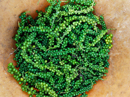 T/HBAU 001-2020 區域公用品牌 海南胡椒