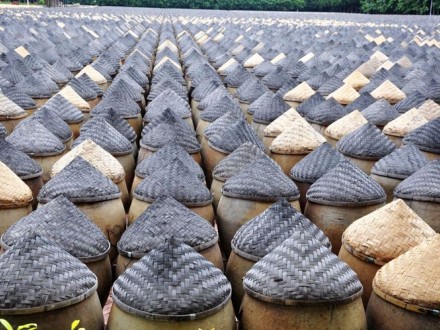 T/YTXTZH 1-2020 地理標志產品 太源井曬醋