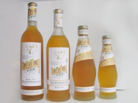 DB45/T 2195-2020 龍眼果醋生產技術規程