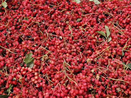 DB61/T 1171-2018 地理標志產品 韓城大紅袍花椒