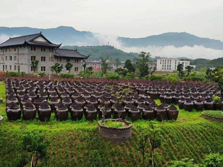 DB52/T 1220-2017 地理標志產品 赤水曬醋