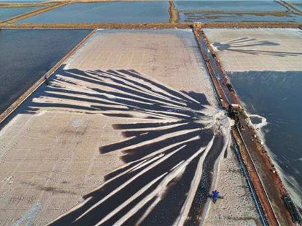 DB13/T 1424-2011 灘曬制鹽工業“制保排”技術規范