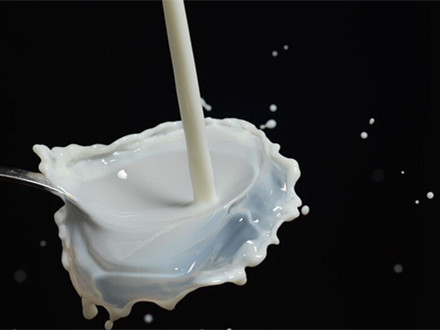 T/CAAA 058-2021 發酵驢乳