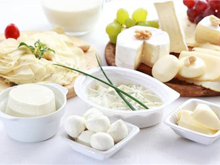 T/HBFIA 0003-2019 乳制品行業全面質量管理5.0卓越運營指南