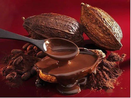 DB46/T 319-2015 可可初加工技術規程