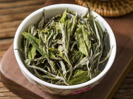 GB/T 32743-2016 白茶加工技術規范